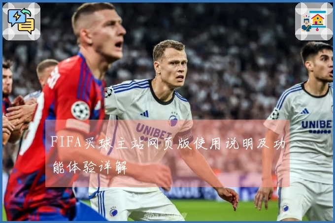 FIFA买球主站网页版使用说明及功能体验详解